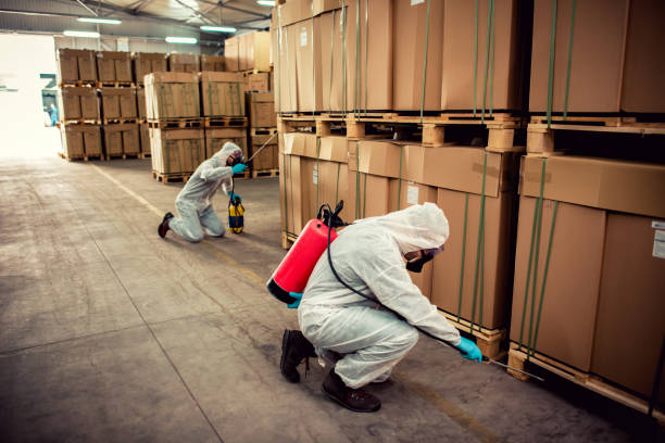 Best Flea Control Services  in Lockhart, TX
