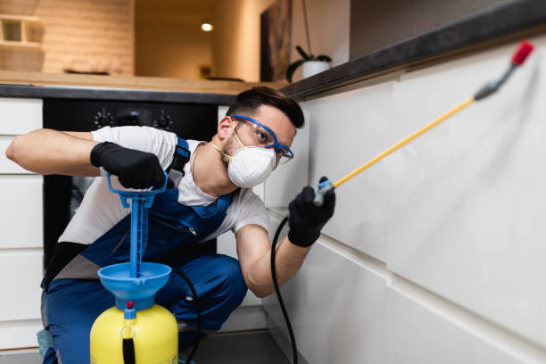 Best Best Pest Control Companies  in Lockhart, TX