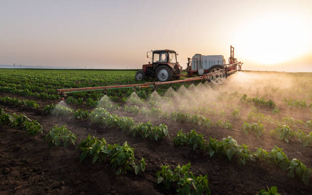 Pest Control Cost in Lockhart, TX