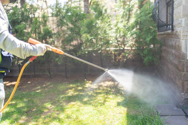 Best Exterminator Services  in Lockhart, TX