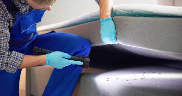 Best Residential Pest Control  in Lockhart, TX