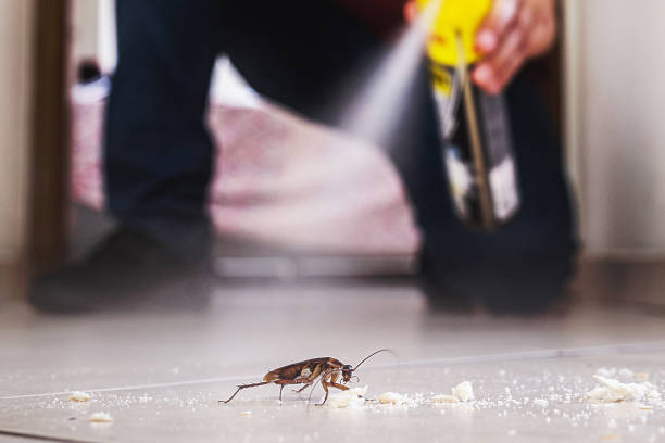 Trusted Lockhart, TX Pest Control Experts