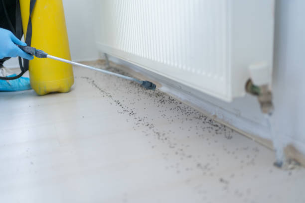 Best Pest Prevention Services  in Lockhart, TX