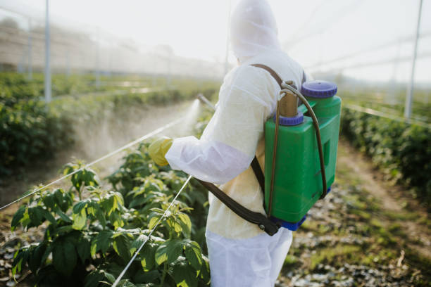 Flea Control Services in Lockhart, TX